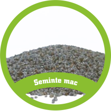 Seminte mac